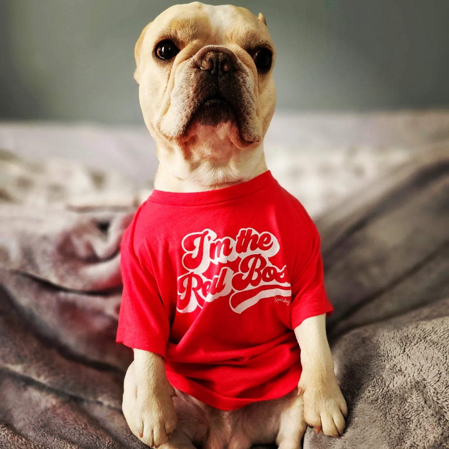 I'm The Real Boss Dog Tee